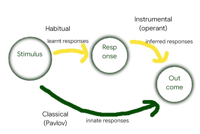 Stimlus, Response, Outcome Learning.