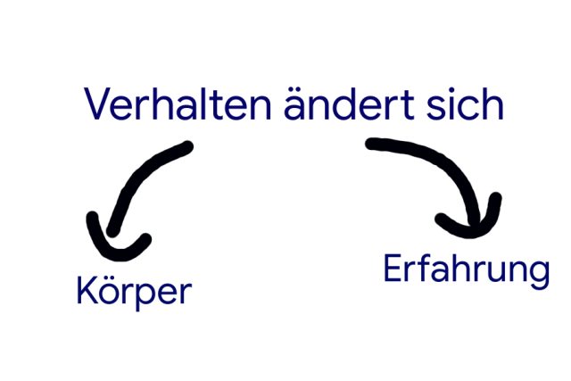 Veränderung von Verhalten.